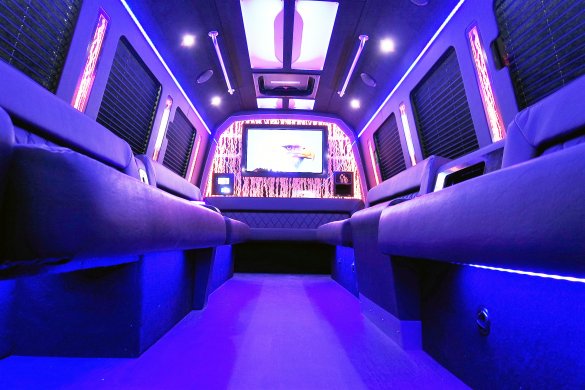 2018 Ford E450 Limo Bus for Sale in North East, PA - Main Photo