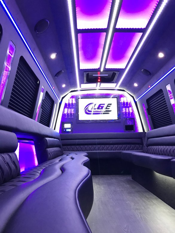 2018 Ford E-450  Limo Bus for Sale in New Port Bech , CA - Photo 2