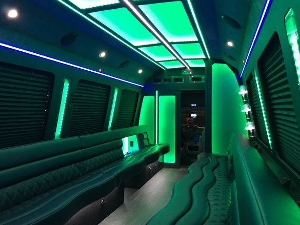 2018 Ford E-450  Limo Bus for Sale in New Port Bech , CA - Photo 3