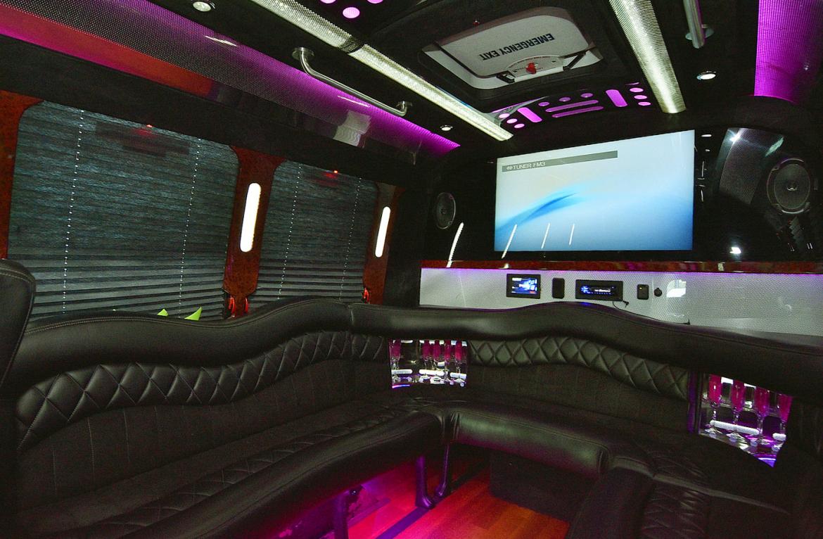 Photo of Limo Bus for sale: 2012 Ford  E-450 by Federal