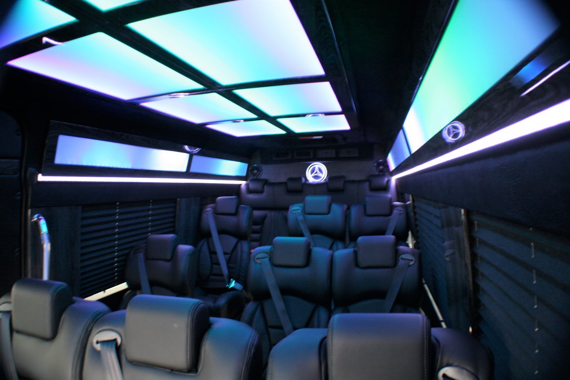 Sprinter for sale: 2017 Mercedes-Benz Sprinter by Springfield Coach