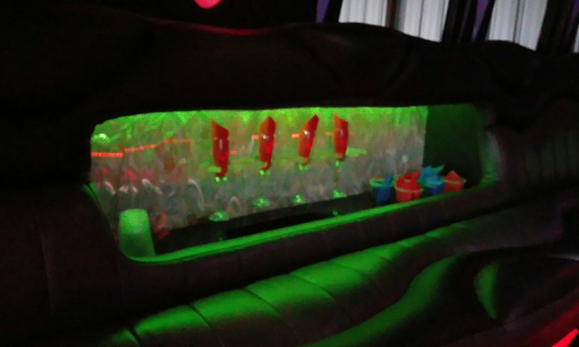 Limo Bus for Sale in HOUSTON, TX - Photo 10
