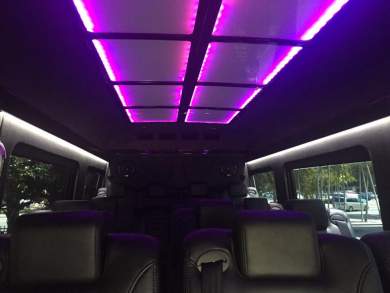 2015 Mercedes-Benz Sprinter 3500 Executive Shuttle for Sale in Fort Lauderdale, Florida, US - Photo 4