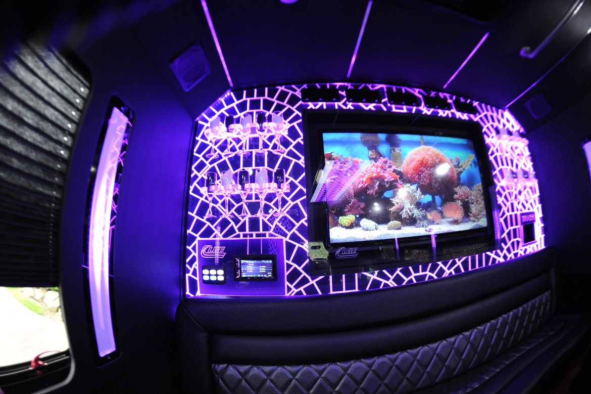 Limo Bus for Sale in Cleveland, OH - Photo 11