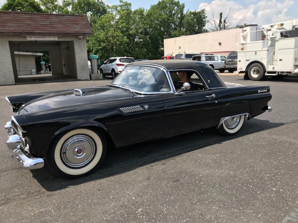 Exotic for Sale in Oaklyn, NJ - Photo 4