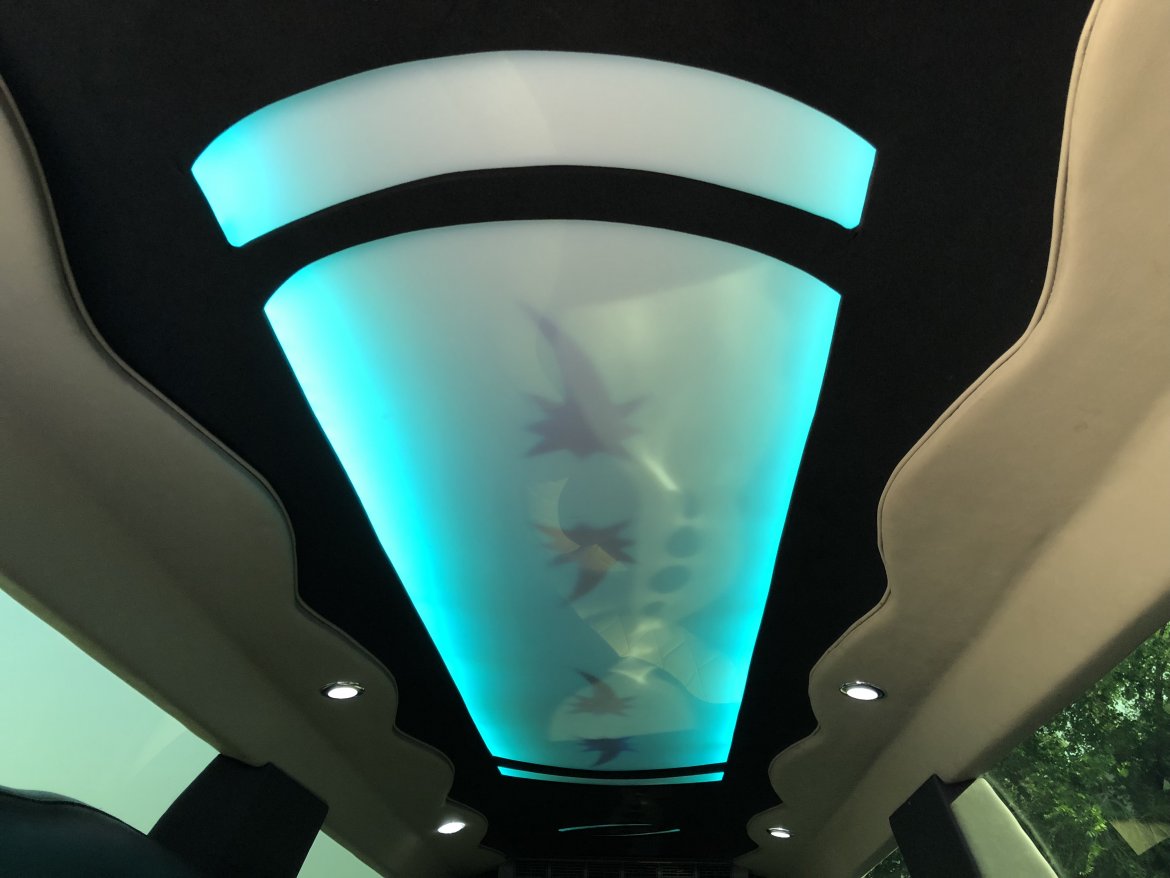 Limousine for Sale in AURORA, CO - Photo 9