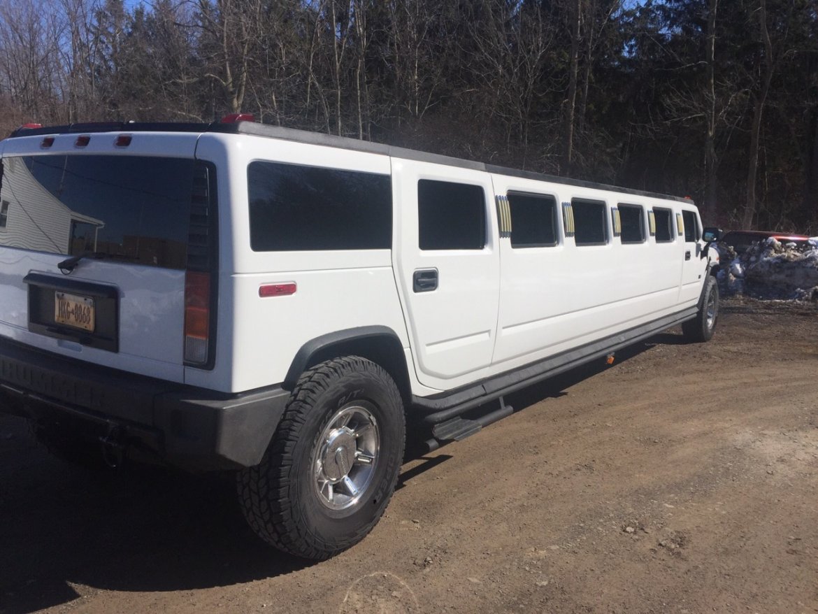 SUV Stretch for Sale in Williamson, NY - Photo 7