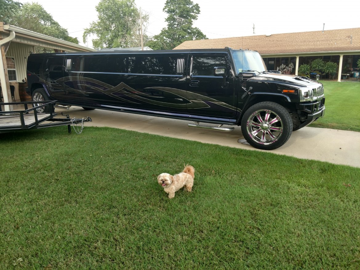 Limousine for Sale in Union City, TN - Photo 2
