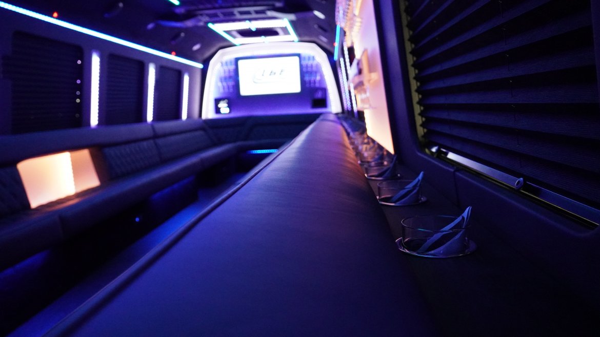 Limo Bus for Sale in North East, PA - Photo 10