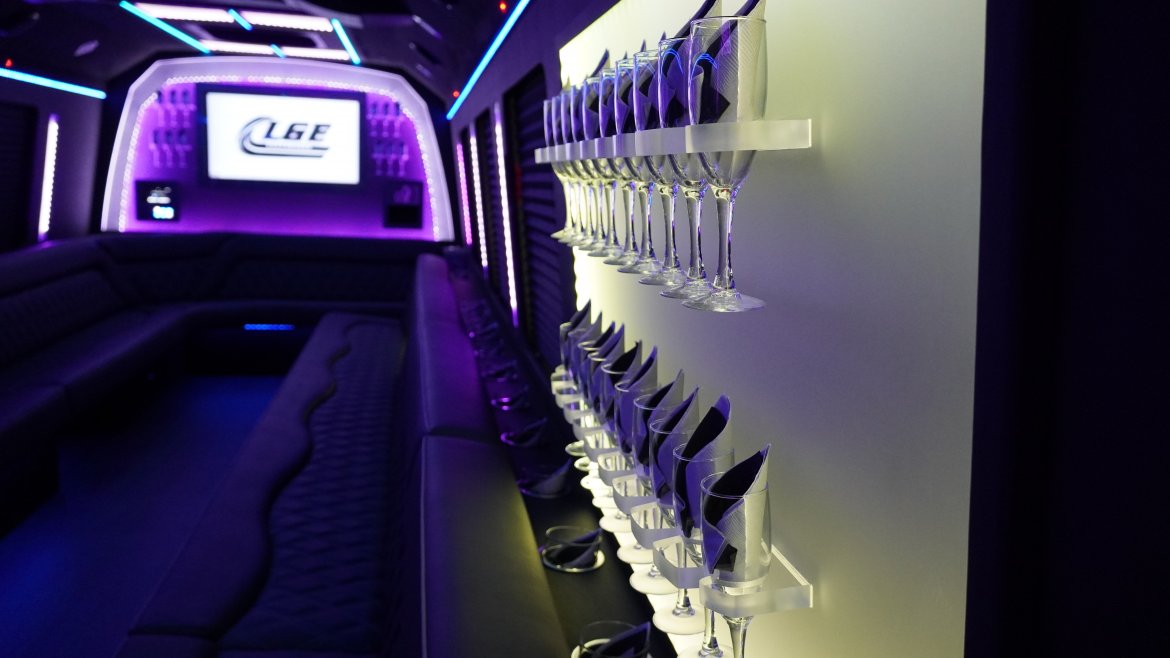 Limo Bus for Sale in North East, PA - Photo 9