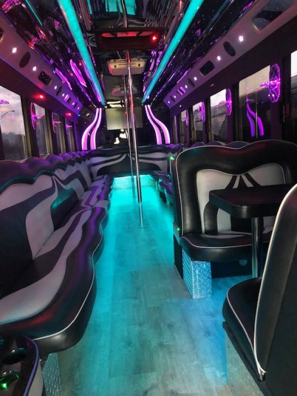 Used 2009 Workhorse Limousine Party Bus for sale WS11713 We Sell Limos