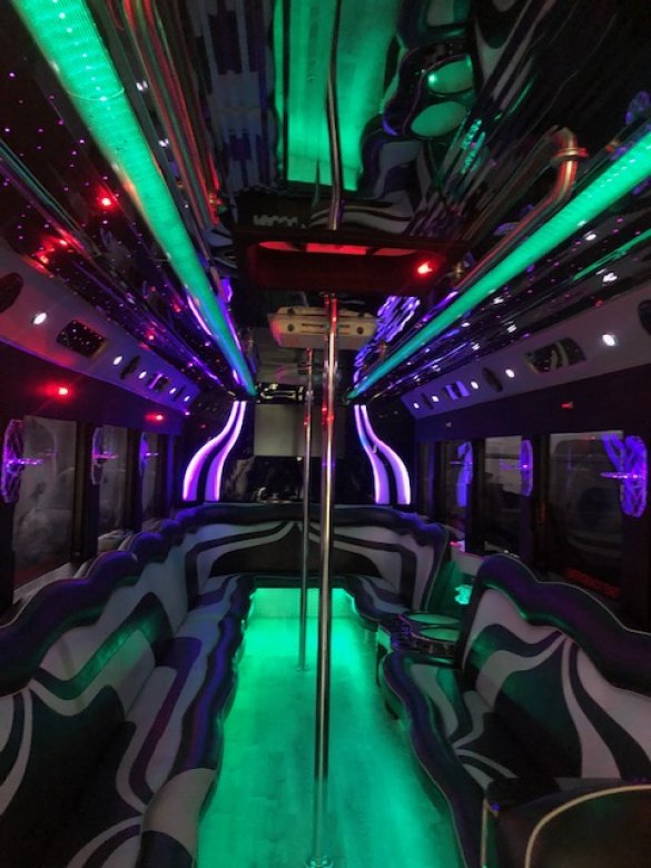 2009 Workhorse Limousine Party Bus Limo Bus for Sale in Hillside, NJ - Photo 2