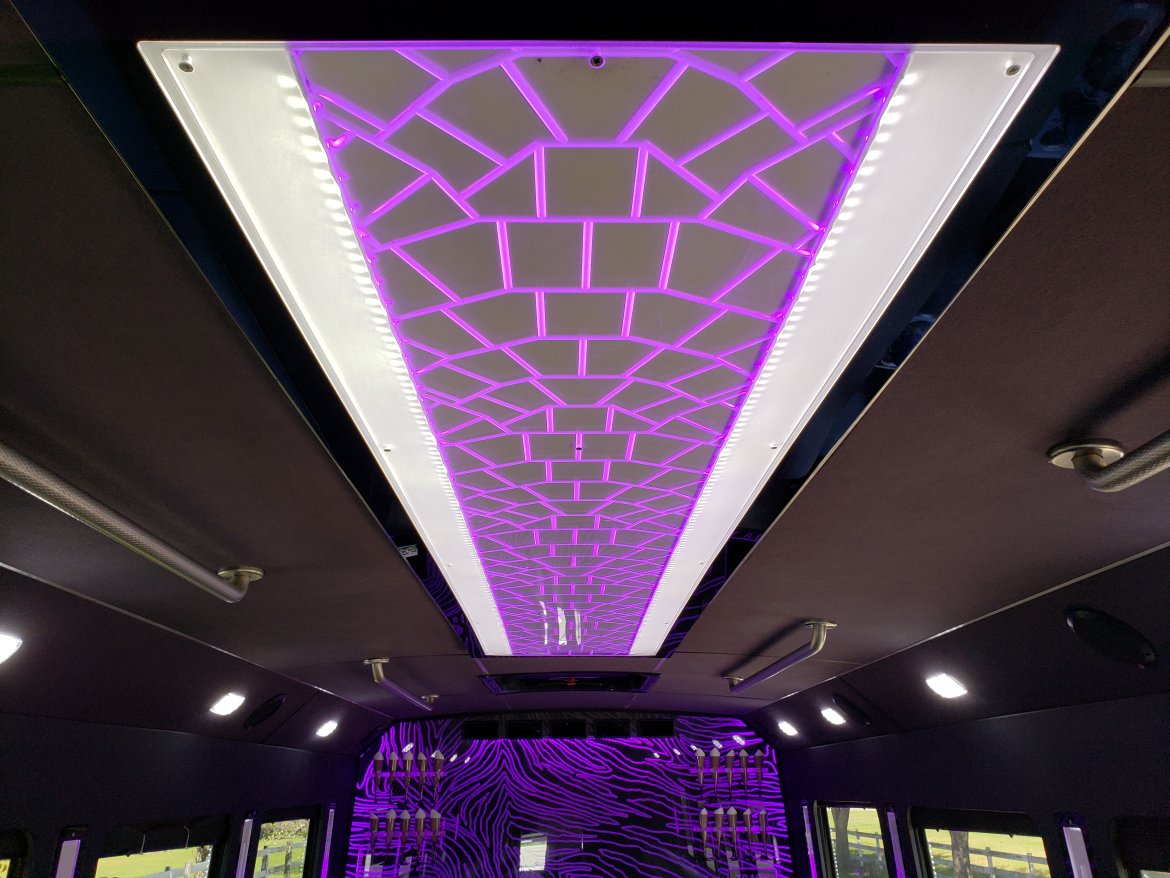 Limo Bus for Sale in Houston, TX - Photo 17