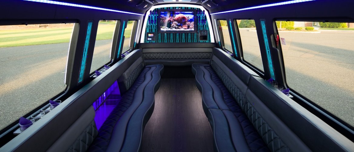 Limo Bus for Sale in North East, PA - Photo 3