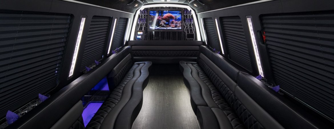 Limo Bus for Sale in North East, PA - Photo 4