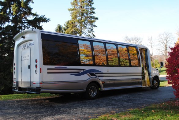 2003 Ford E450 Limo Bus for Sale in Lake Geneva, WI - Photo 3