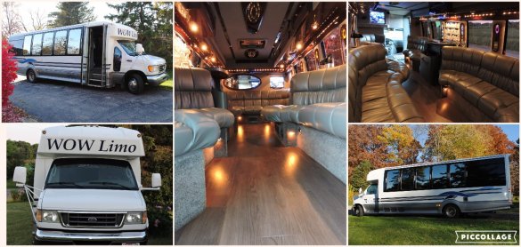 2003 Ford E450 Limo Bus for Sale in Lake Geneva, WI - Main Photo