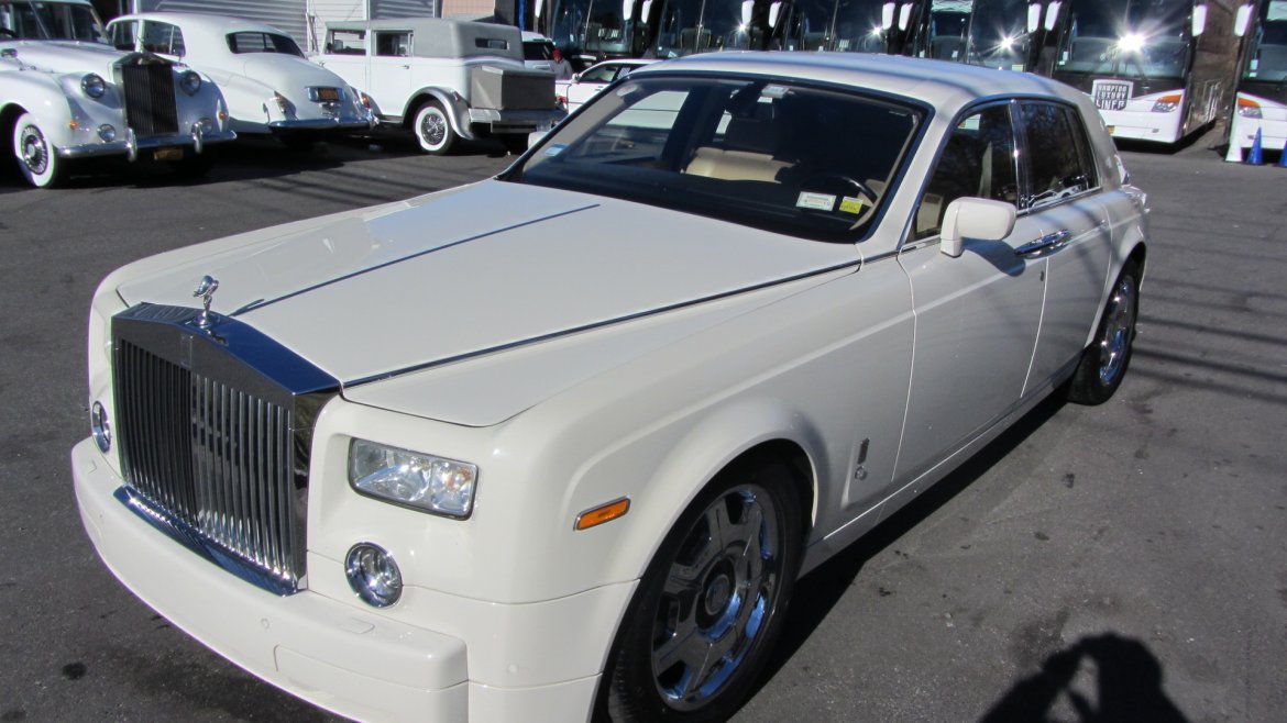 Exotic for Sale in Commack, NY - Photo 4