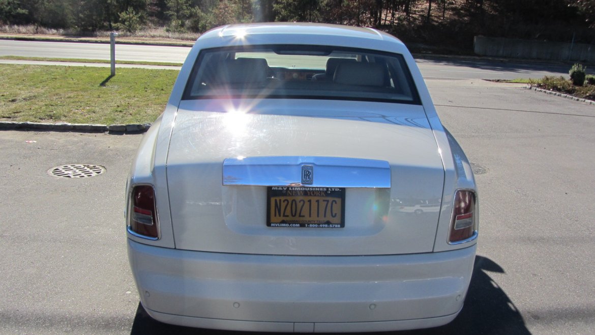 Exotic for Sale in Commack, NY - Photo 8