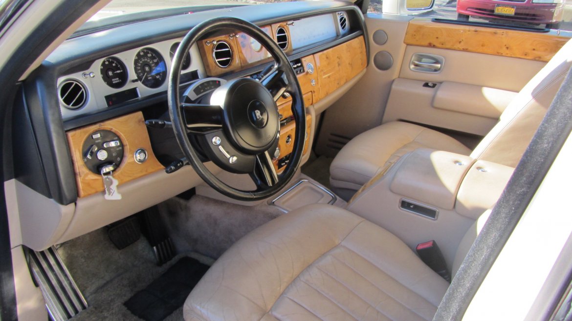 Exotic for Sale in Commack, NY - Photo 16