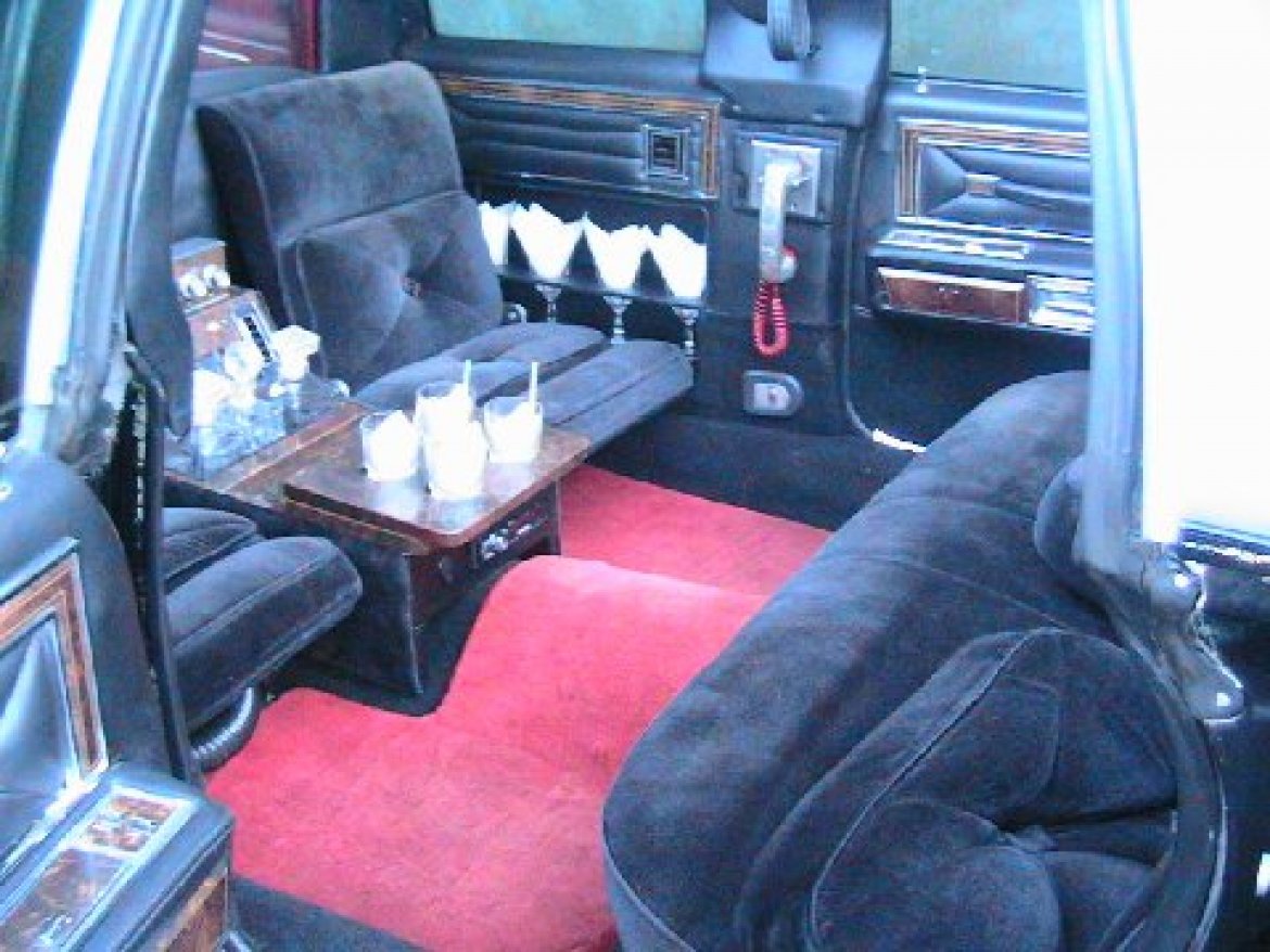 Exotic for Sale in Los Angeles, CA - Photo 7