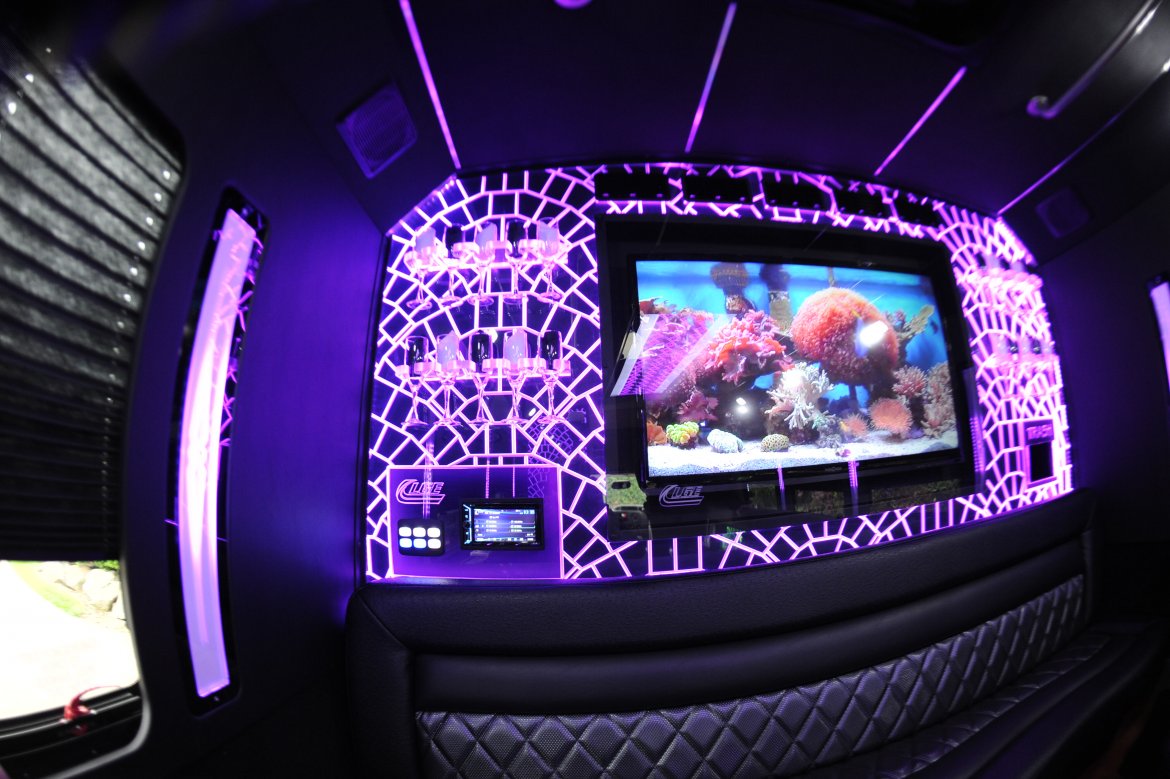 Limo Bus for Sale in cleveland, OH - Photo 5