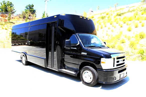 2018 Ford E-450 Limo Bus for Sale in Oaklyn, NJ - Photo 3