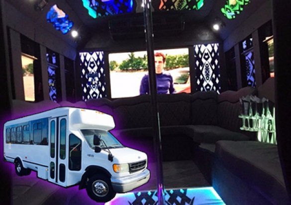 2002 Ford e-450 Limo Bus for Sale in Ravenna, OH - Main Photo