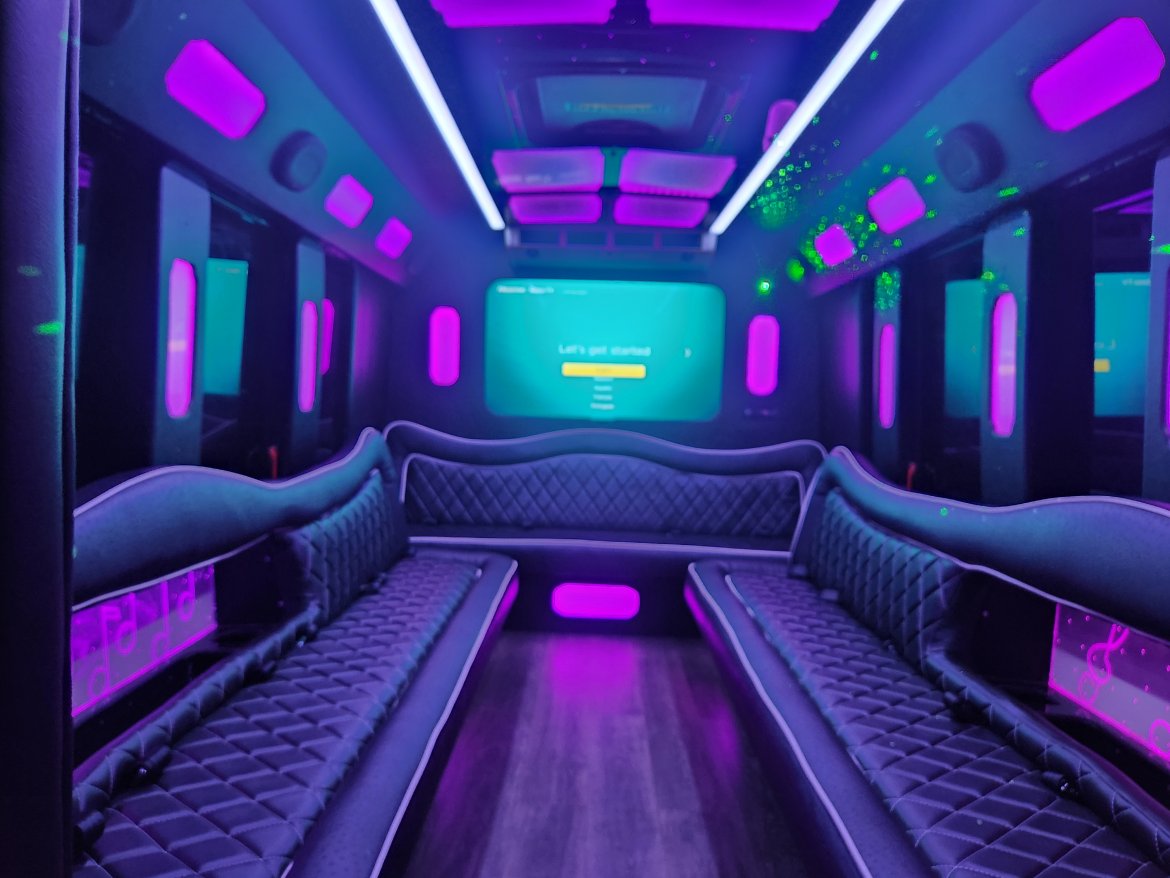 2017 Ford E450 Limo Bus - Photo 2