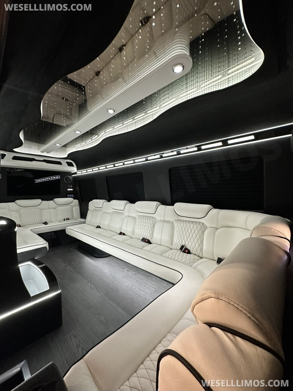 Photo of Sprinter for sale: 2025 Mercedes-Benz Sprinter by LimoLand