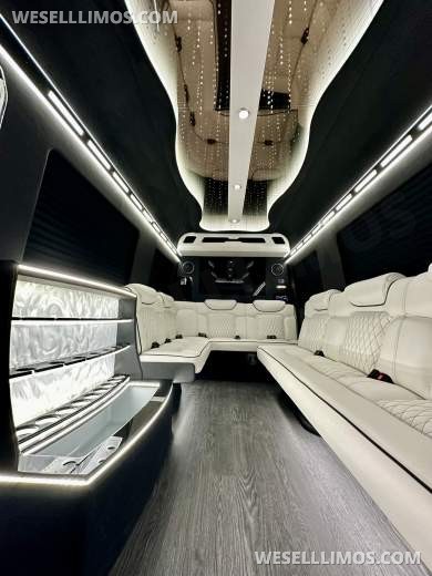 2025 LimoLand  Mercedes-Benz Sprinter