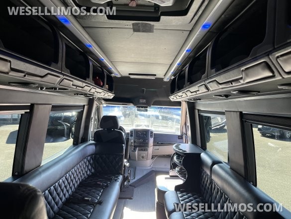 2015 McSweeny  Mercedes-Benz Sprinter Sprinter