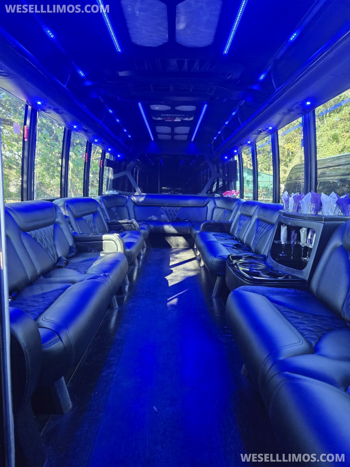 Limo Bus for sale: 2017 Ford F550 33&quot; by Gretch