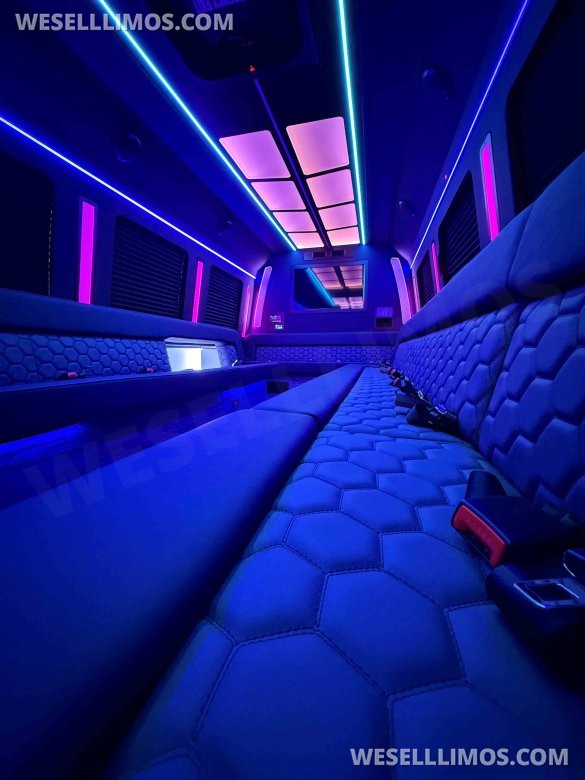 2024 LGE Coachworks Ford F550 Party Limo Bus for 31 passengers