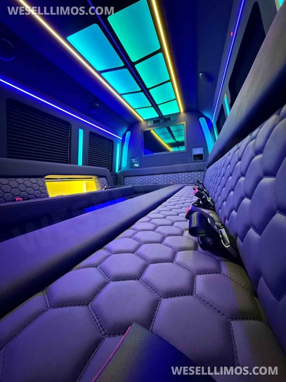 2024 LGE Coachworks Ford F550 Party Limo Bus for 31 passengers