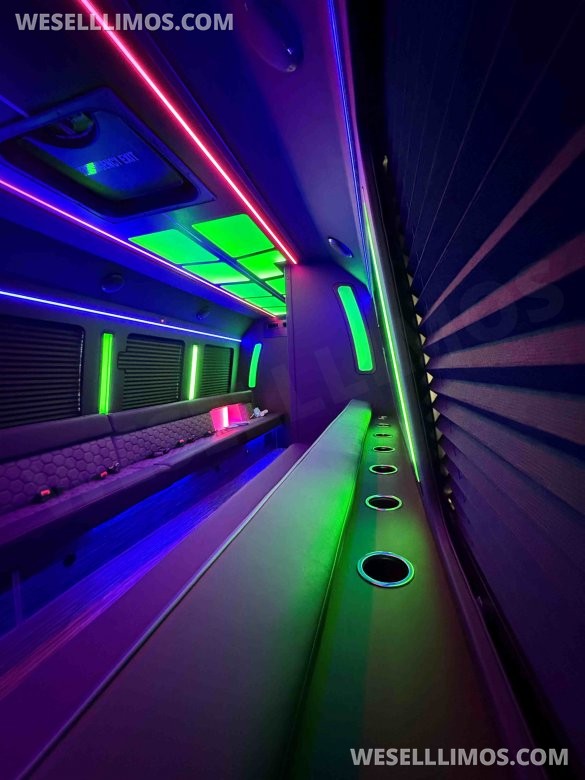 2024 LGE Coachworks Ford F550 Party Limo Bus for 31 passengers