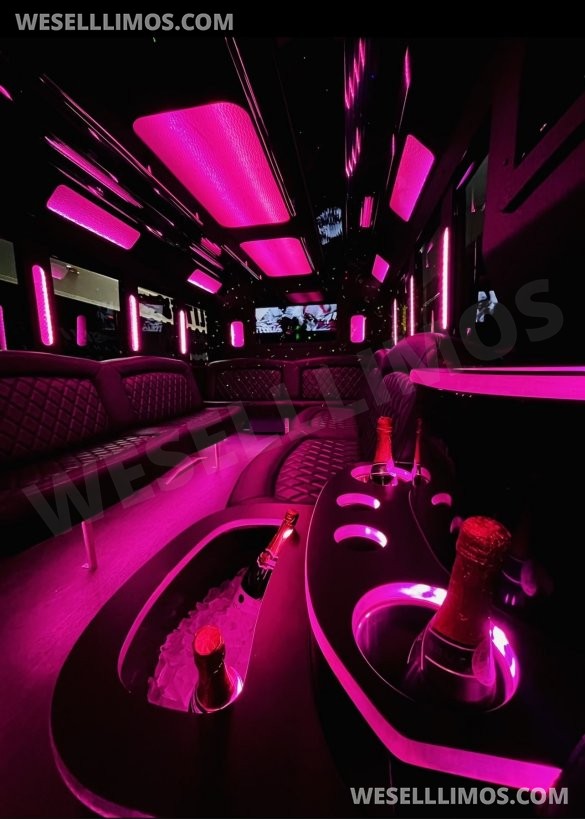 2017 Ford 550 SUPER DUTY Limo Bus for Sale in LAS VEGAS, NV - Photo 3