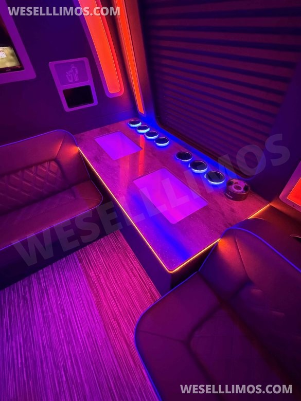 FORD F550 Custom Luxury Limo Bus by LGE Coachworks