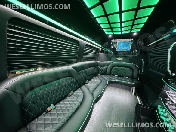 2019 Mercedes-Benz Limo Sprinter Sprinter for Sale in Springfield, MO - Photo 2