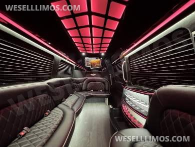 2019 Mercedes-Benz Limo Sprinter Sprinter for Sale in Springfield, Missouri, US - Photo 3
