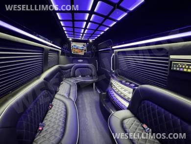 2019 Mercedes-Benz Limo Sprinter Sprinter for Sale in Springfield, Missouri, US - Photo 4