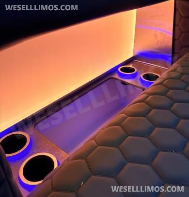 2026 LGE Coachworks Ford E450 Limo Bus/Party 25 passengers W/ Air Ride - Limo Bus for Sale in North East, PA - Photo 6