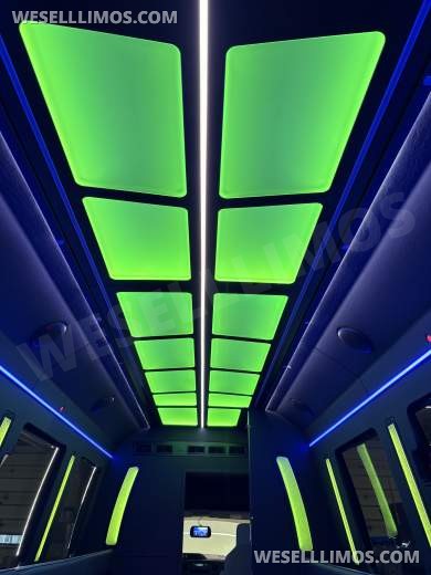 2026 LGE Coachworks Ford E450 Limo Bus/Party 25 passengers W/ Air Ride - Limo Bus for Sale in North East, PA - Photo 5