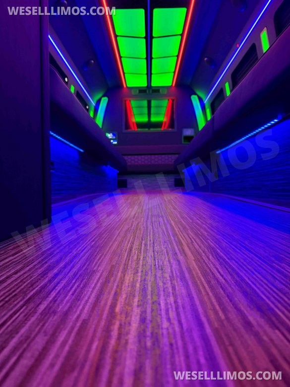 2026 Ford F600 Limo Bus / Party Bus Limo Bus for Sale in North East, PA - Photo 2