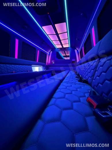 Party Bus/Limo Bus 35 Passenger LGE Coachworks F600 Brand New - Limo Bus for Sale in North East, PA - Photo 7