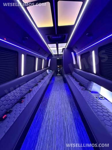 Party Bus/Limo Bus 35 Passenger LGE Coachworks F600 Brand New - Limo Bus for Sale in North East, PA - Photo 10