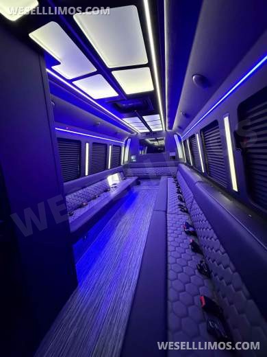 Party Bus/Limo Bus 35 Passenger LGE Coachworks F600 Brand New - Limo Bus for Sale in North East, PA - Photo 16