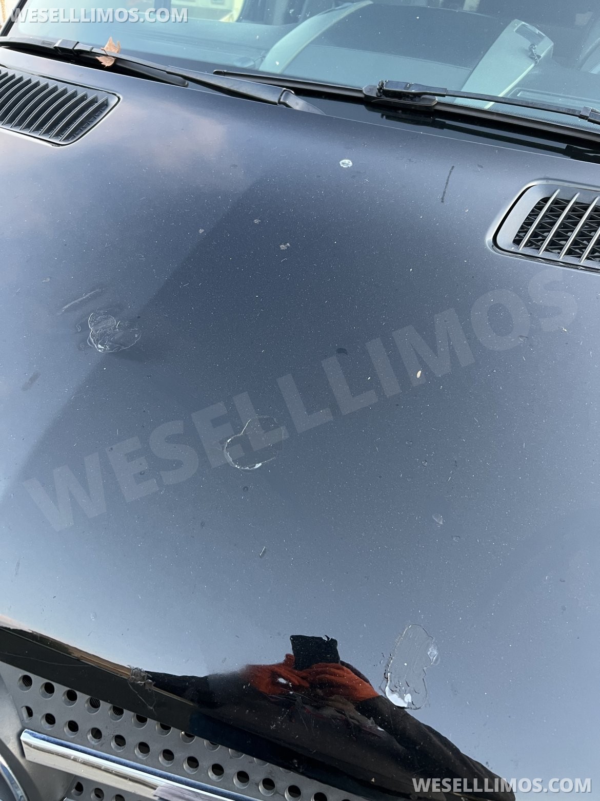 Photo of Limo Bus for sale: 2018 Mercedes-Benz Sprinter 3500 by Grech