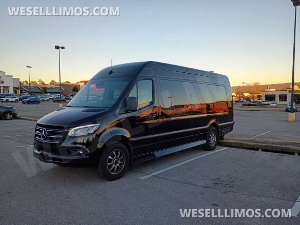 2020 Mercedes-Benz Sprinter-Limo Sprinter for Sale in Pell City, AL - Photo 2