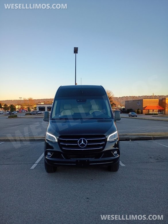 2020 Mercedes-Benz Sprinter-Limo Sprinter for Sale in Pell City, AL - Photo 3
